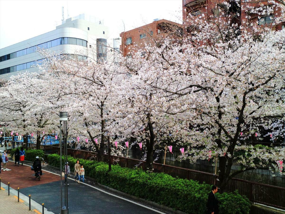 Апартаменты Coto Tokyo Shibuya 6 Экстерьер фото